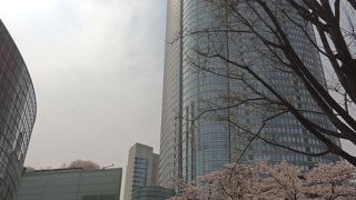 何度も来ていたのに桜がこんなにあるとは