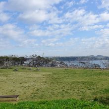 県立城ヶ島公園 
