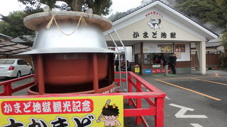 いろんなタイプが一度に楽しめる