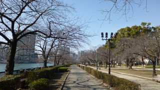 大川沿いののどかな光景