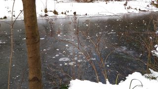 自然豊かな公園