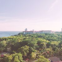 9階からの景色。緑と海が気持ちいい。