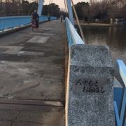 水元公園の中の橋