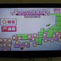 NHKは19チャンネル