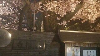 清澄庭園の観光とセットで