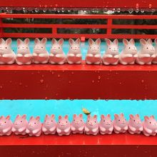 可愛いうさぎのおみくじ