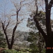 程よい広さの公園