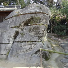 心が癒やされます