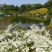 大仙公園に行ったら是非。マストです。