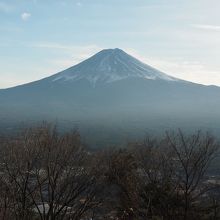 目の前に富士山