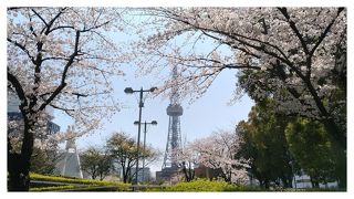 お花見スポット◎