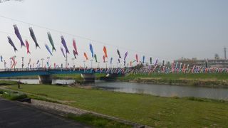 もう鯉幟があげられていた