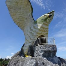 今にも飛んでいきそう。