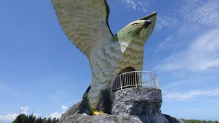 見た目のインパクト大