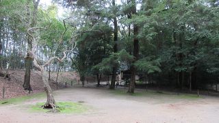 野鳥の声も聞こえます