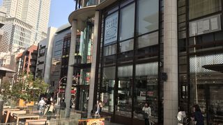 桜の彩りが美しい