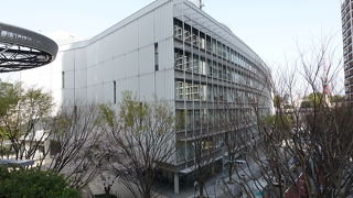 少しだけ桜が見えます