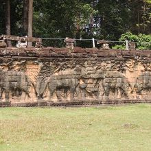 象さんがいっぱい