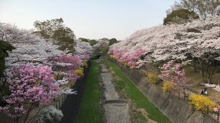 入場料かかります