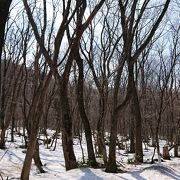 青根温泉の中心の近く