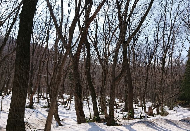 青根温泉の中心の近く