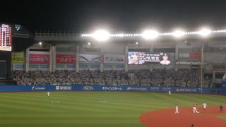 ロッテマリーンズ戦の平日はゆったり観戦できます