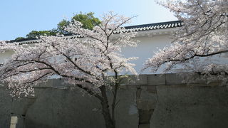 大阪城の正面です