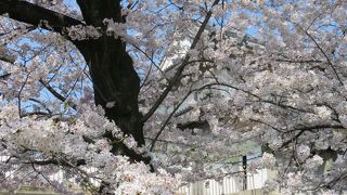 桜満開の千貫櫓