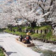 花筏が綺麗な場所