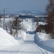 雪のジェットコースターの路