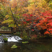 秋は紅葉も綺麗です