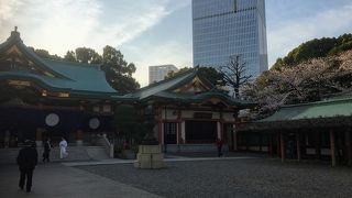 桜もまぁまぁ咲いてます