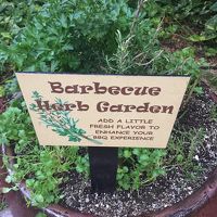 BBQグリル横にミニハーブガーデンが出来ていました。