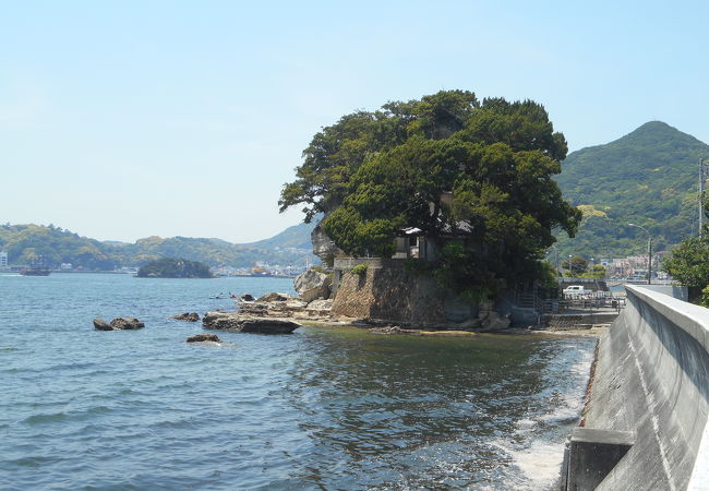 柿崎海岸 クチコミ アクセス 営業時間 下田 フォートラベル