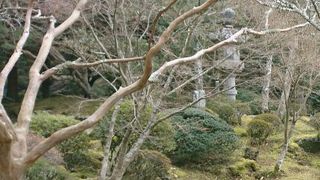 成田山公園に広がる梅林