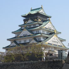西の丸庭園からの眺めです。