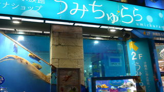 国際通りに美ら海水族館のアンテナショップがありミニ水槽でお魚も観れました!!