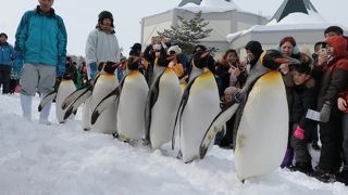 とっても近いところにいます