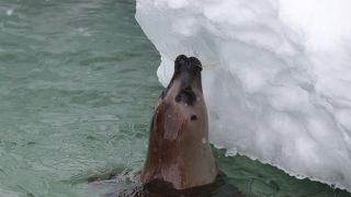 冬場の外は雪に覆われています