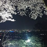 夜桜＆夜景が綺麗