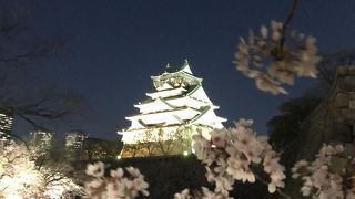 大阪城の夜桜