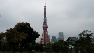 優雅な曲線と緑に映えるカラーリングが良い