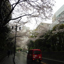 まさに登坂から森（笑）