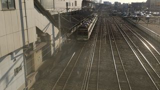 秩父や長瀞ばかりではなかった