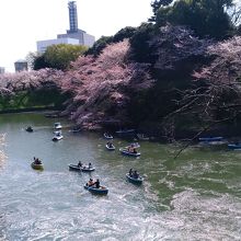 きれいな風景