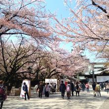 たくさんの人！