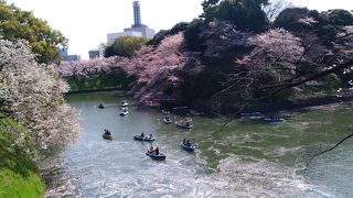 桜の名所