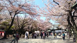 歴史があります