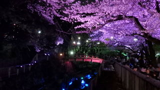 2018年　初めてのライトアップを開催中