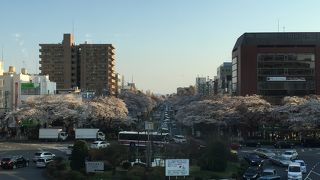 ドラマのような街路
